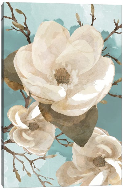 Magnolia II Canvas Art Print