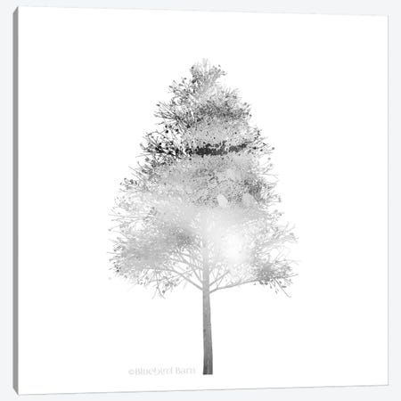 Modern Mountain Birch Tree Canvas Print #BLB57} by Bluebird Barn Canvas Print