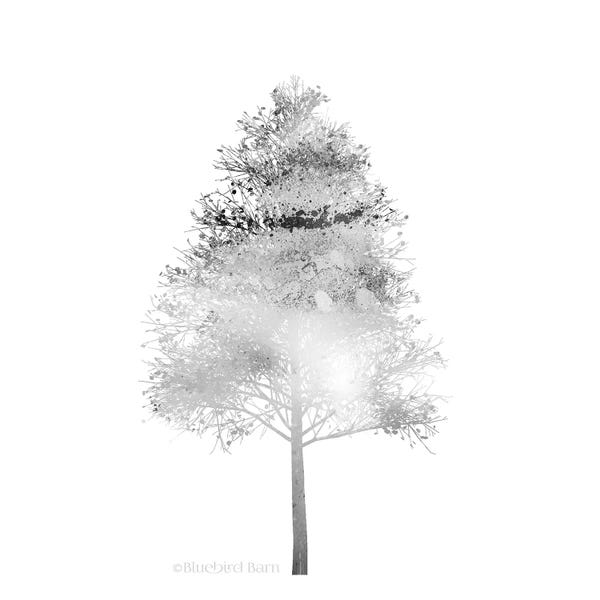 Bluebird Barn: Modern Mountain Birch Tree by Bluebird Barn