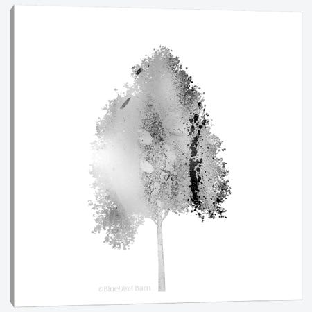 Modern Mountain Maple Tree Canvas Print #BLB58} by Bluebird Barn Canvas Art