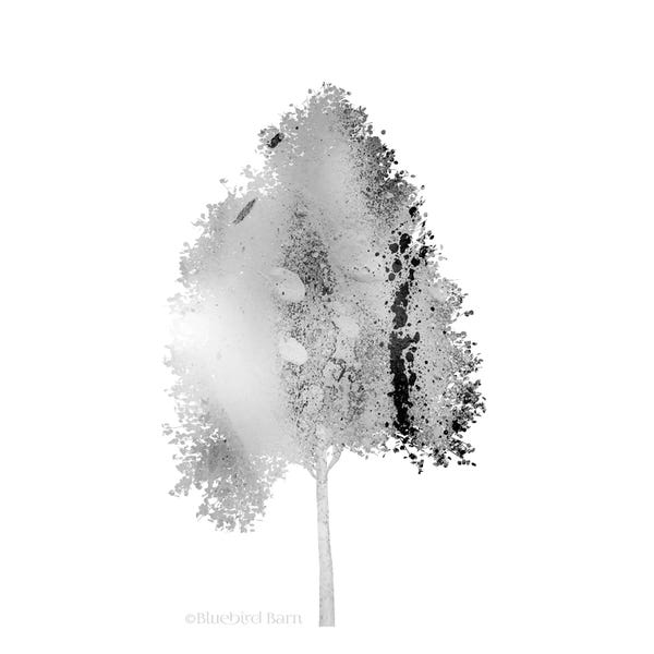 Bluebird Barn: Modern Mountain Maple Tree by Bluebird Barn