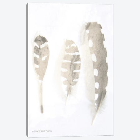 Neutral Feathers Study    Canvas Print #BLB64} by Bluebird Barn Canvas Artwork