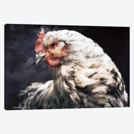 Rooster Portrait Canvas Print #BLB78} by Bluebird Barn Canvas Art