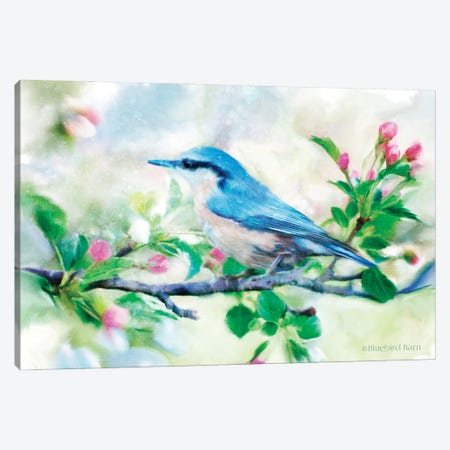 Spring Blue Bird on a Bough Canvas Print #BLB89} by Bluebird Barn Canvas Art Print