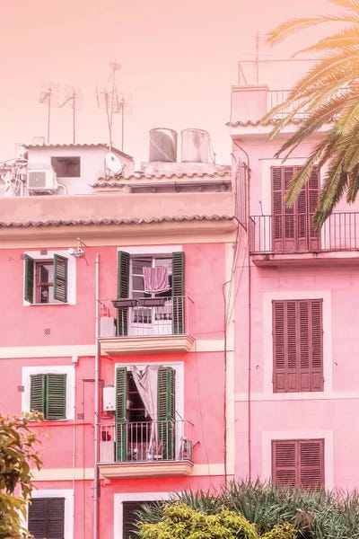 Beli: Urban Exotic Summer by Beli