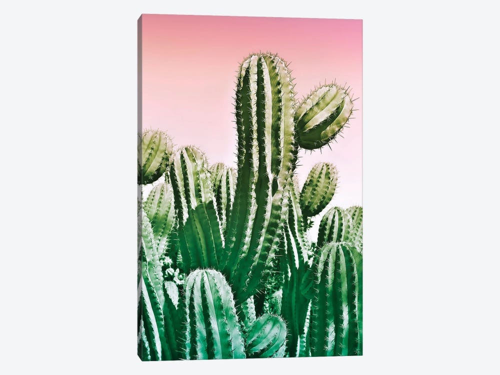 Wild Cactus From The Desert by Beli 1-piece Canvas Wall Art