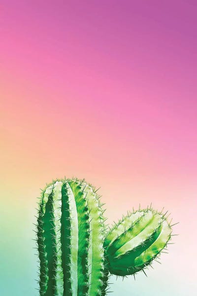 The Eighties: Wild Desert by Beli