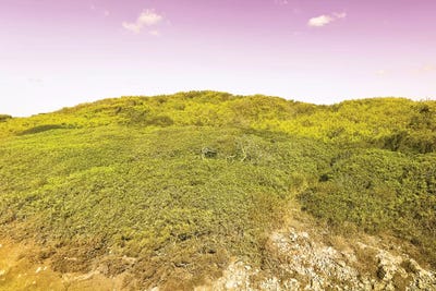 Wild Nature by Beli canvas print