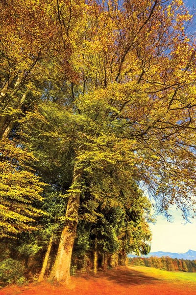 Autumn Landscape by Beli framed wall art