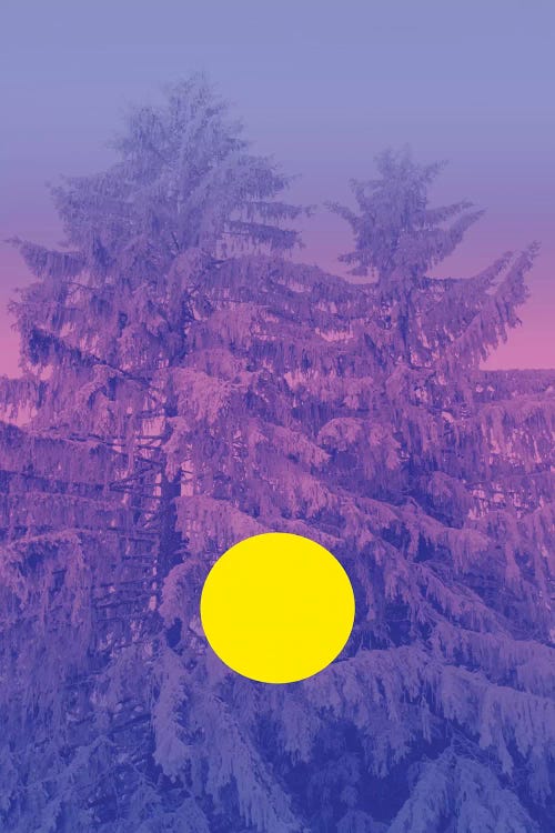 Winter's Delight With Fir Trees