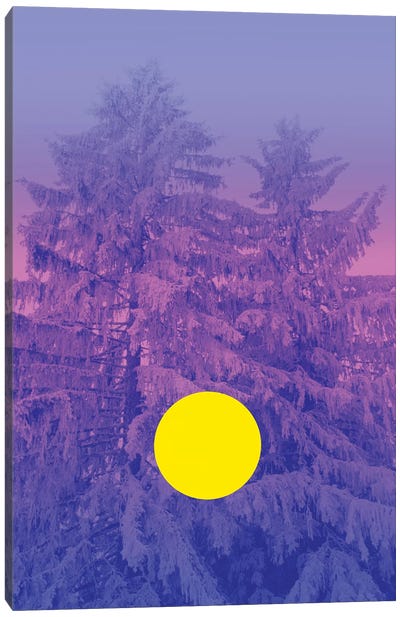 Winter's Delight With Fir Trees Canvas Art Print - Sunset Shades