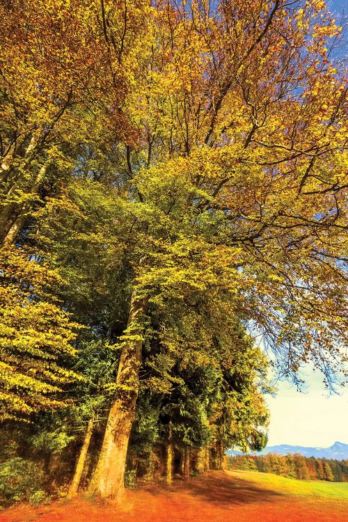 Autumn Landscape