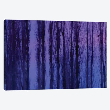 Abstract Winter Trees Canvas Print #BLI125} by Beli Canvas Print