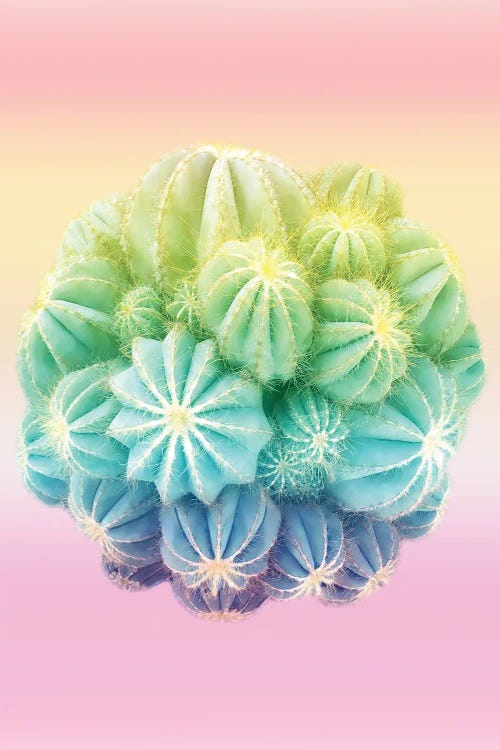 Amazing Cactus And Colorful Shades by Beli wall art