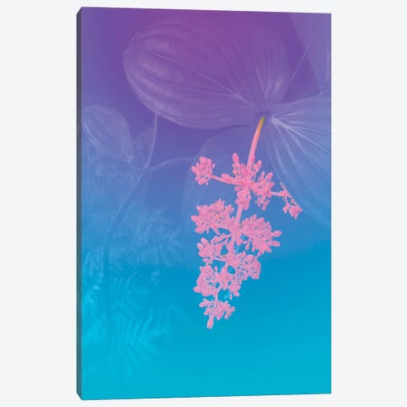 Vibrant Tropical Flower Canvas Print #BLI139} by Beli Canvas Print