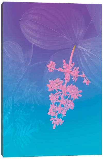 Vibrant Tropical Flower Canvas Art Print - Beli
