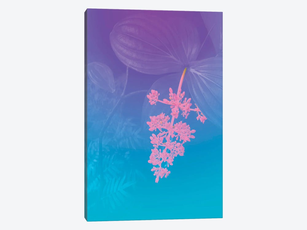 Vibrant Tropical Flower by Beli 1-piece Canvas Print