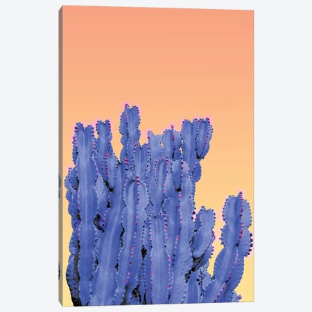 Blue Cactus Canvas Print #BLI18} by Beli Canvas Print