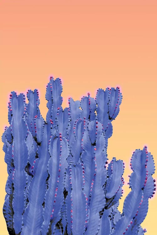 Blue Cactus