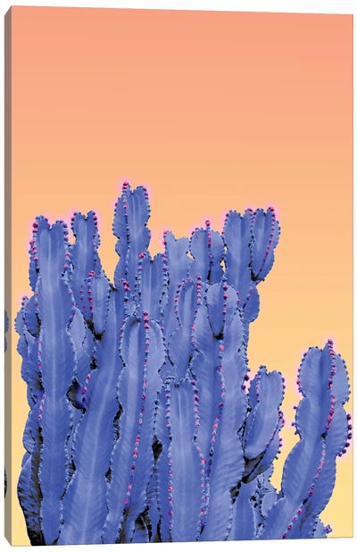 Blue Cactus Canvas Art Print - Beli