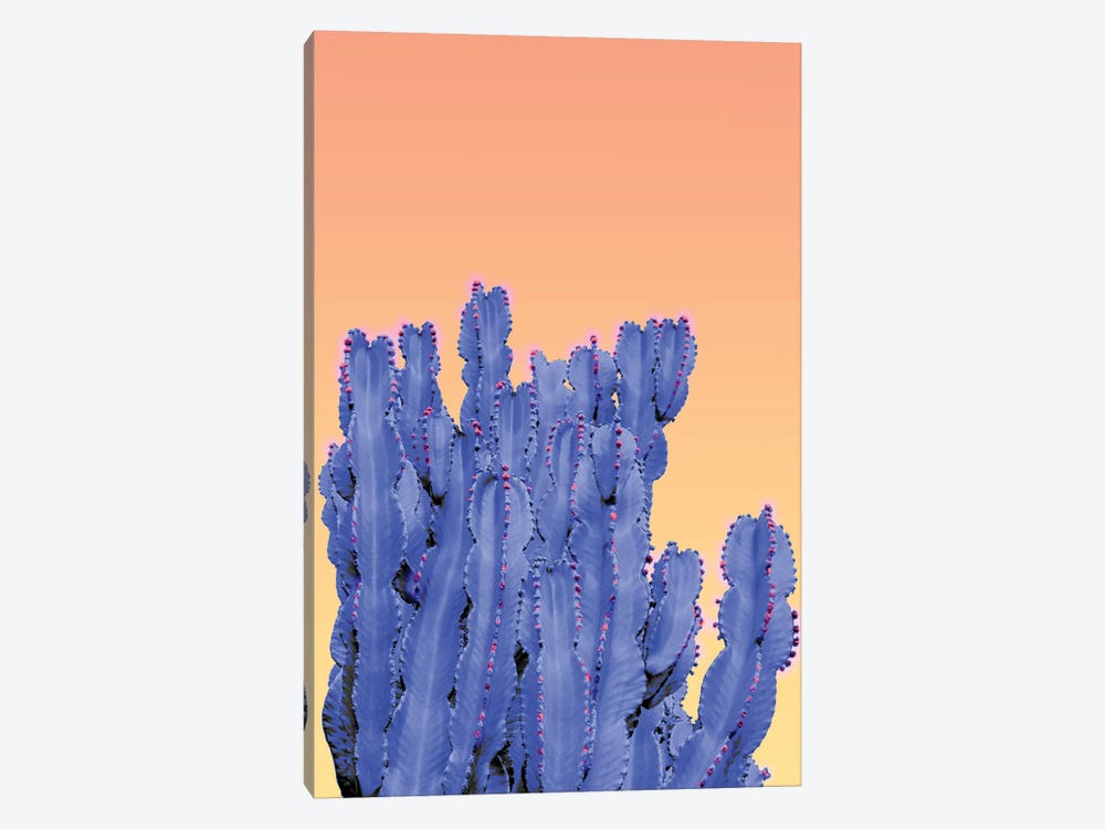 Blue Cactus by Beli 1-piece Canvas Wall Art
