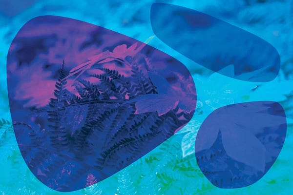 Beli: Abstract Blue Stones And Foliage by Beli