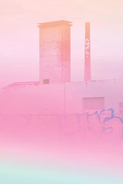 Beli: Concrete Flowers And Graffiti by Beli
