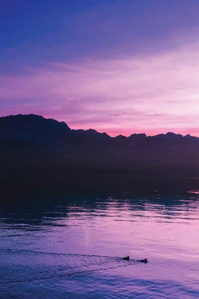 Beli: Dusk And Ducks by Beli