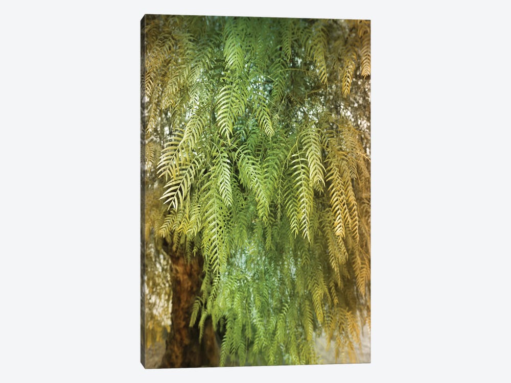 Green Tree by Beli 1-piece Canvas Print