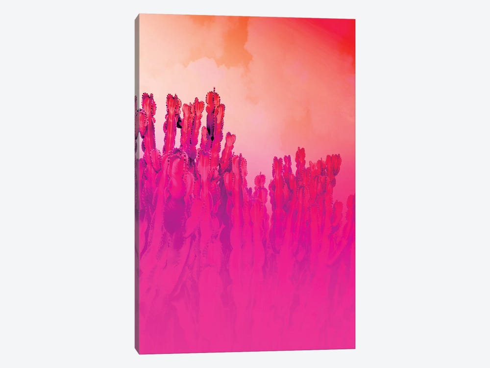 Infrared Cactus by Beli 1-piece Canvas Art