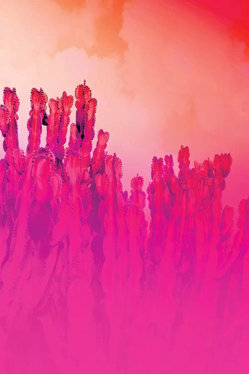 Infrared Cactus by Beli wall art