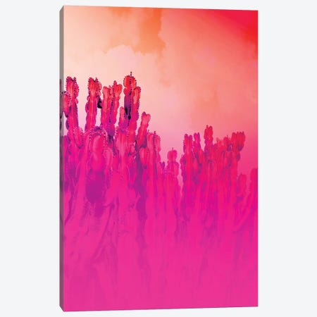 Infrared Cactus Canvas Print #BLI47} by Beli Canvas Print
