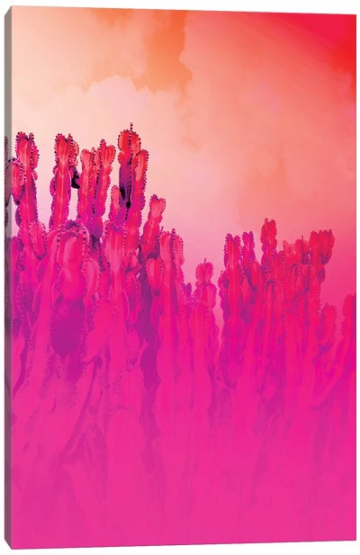 Infrared Cactus Canvas Art Print - Beli