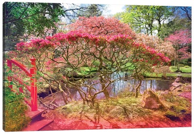 Japanese Garden And Pond Canvas Art Print - Cherry Blossom Art
