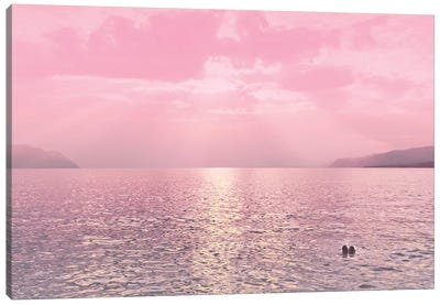 Kiss In The Lake At Sunset Canvas Art Print - Beli