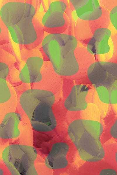 Beli: Leopard Cactus by Beli