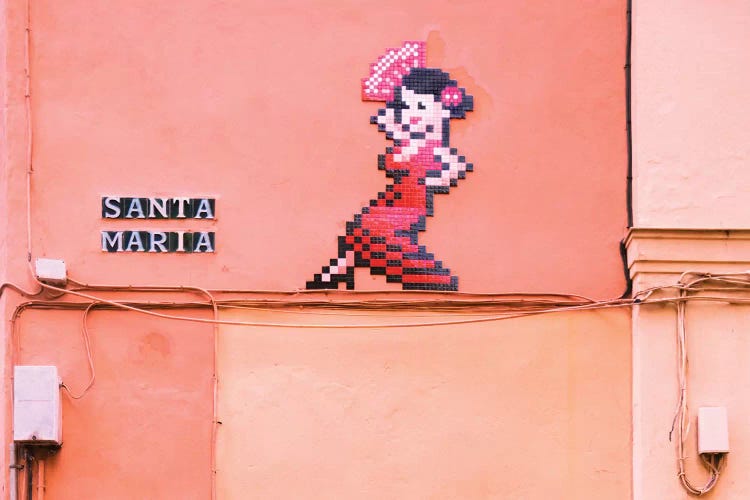 Maria Is Dancing Flamenco by Beli wall art