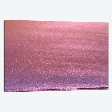 Metallic Ocean With Iridescent Wave Canvas Print #BLI59} by Beli Canvas Art Print