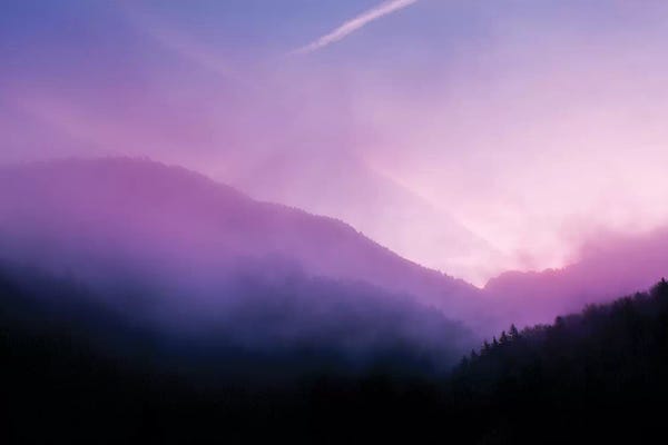 Beli: Morning Fog by Beli