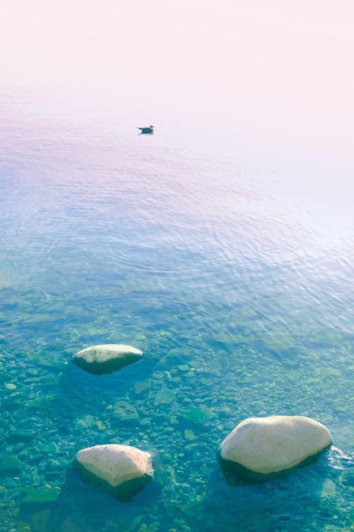 My Islands My Dreams