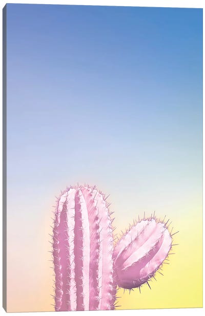 My Pink Cactus Canvas Art Print - Beli