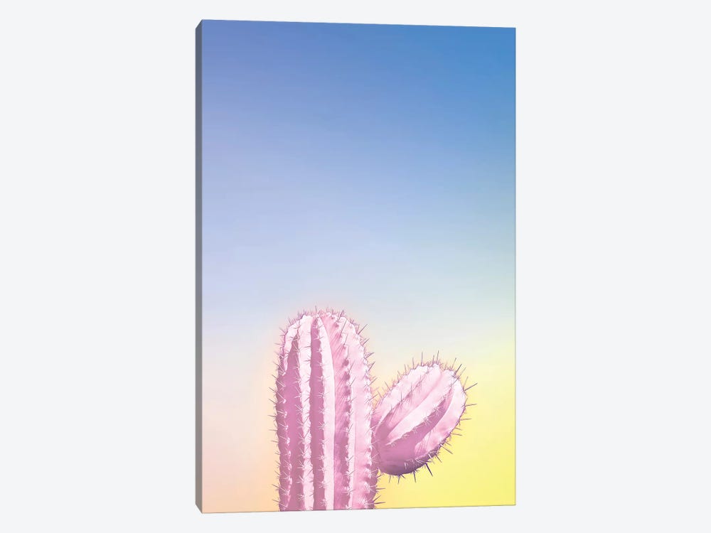 My Pink Cactus by Beli 1-piece Canvas Print