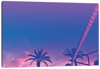 Palms And Sunset With Reverberation Canvas Art Print - Beli