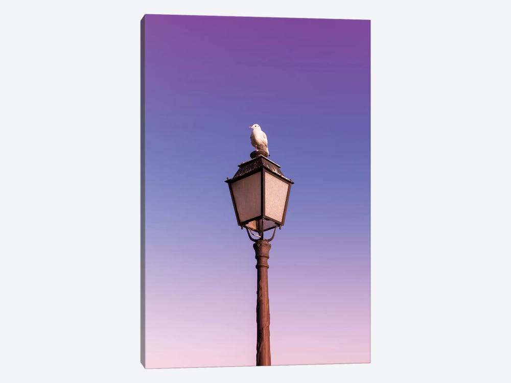 Seagull by Beli 1-piece Canvas Print