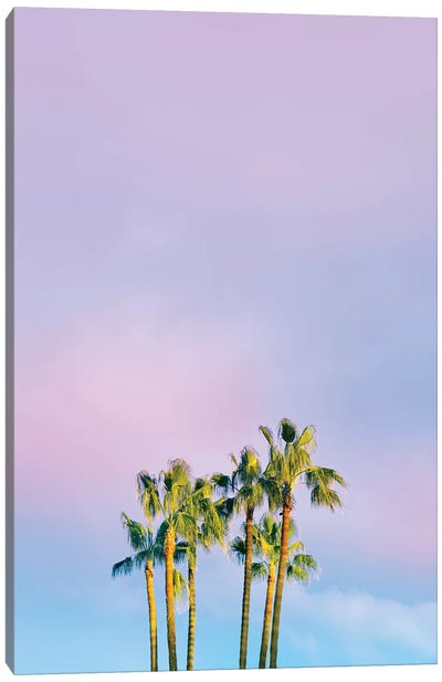 Summer Dreams With Palms Canvas Art Print - Sunset Shades