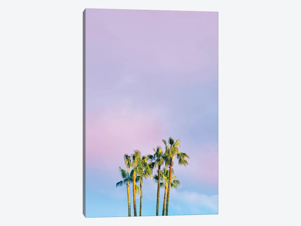 Summer Dreams With Palms by Beli 1-piece Canvas Art