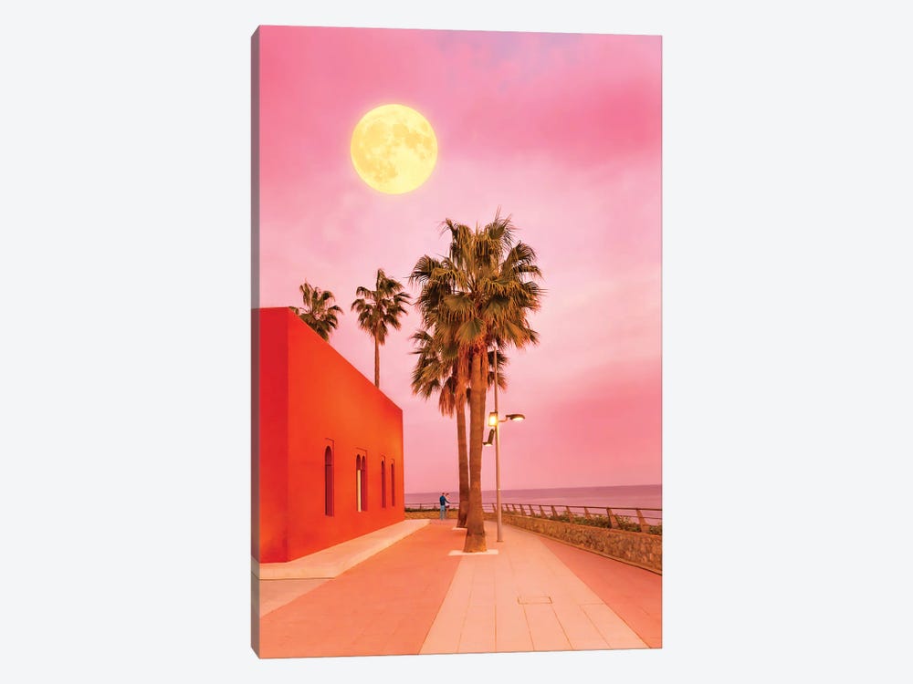 Super Moon At Sunset by Beli 1-piece Canvas Artwork