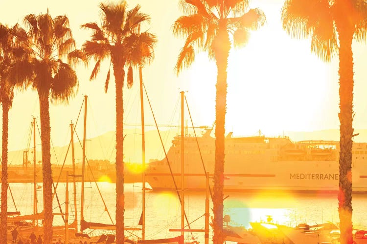 The Marina At Sunset by Beli wall art
