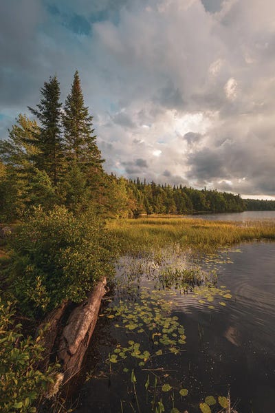Fine Art Print: Horseshoe Lake by Jon Bilous