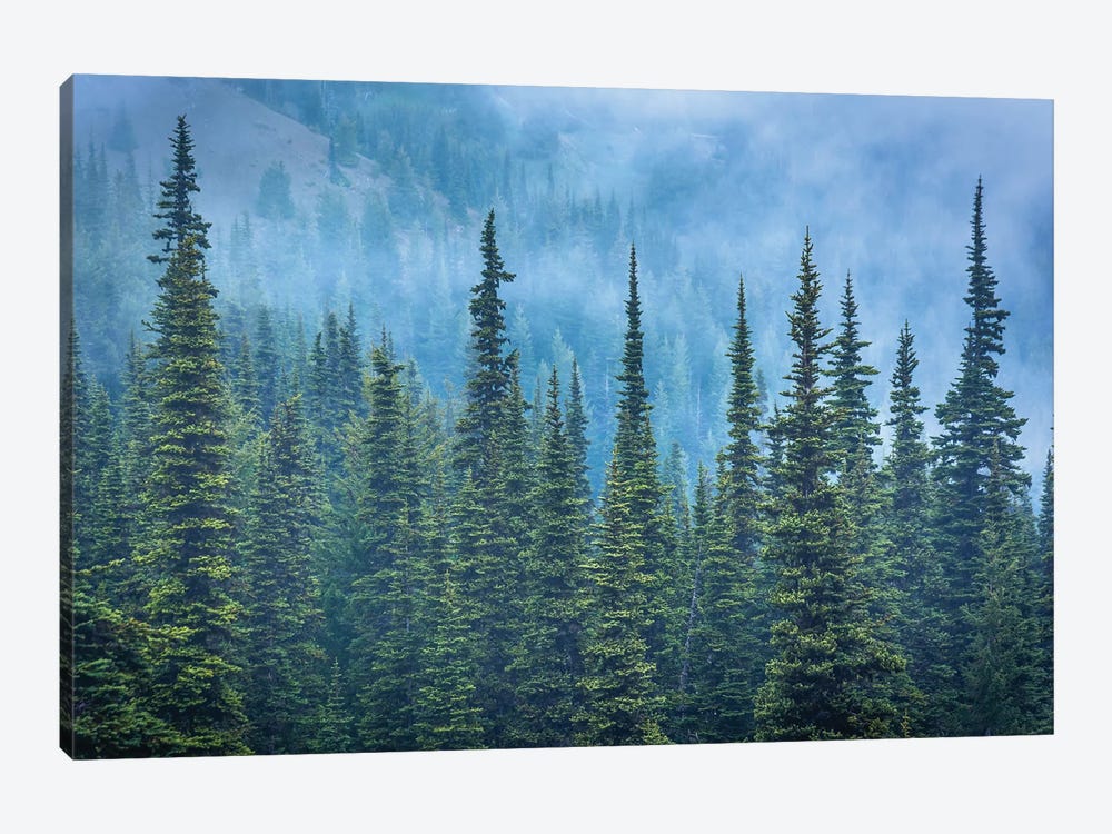 Hurricane Ridge Pines by Jon Bilous 1-piece Art Print